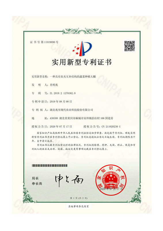 一種具有農(nóng)光互補(bǔ)結(jié)構(gòu)的蔬菜種植大棚