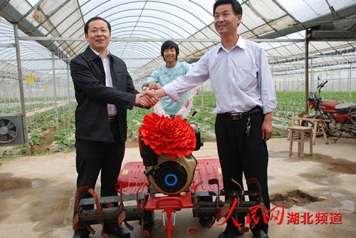 湖北省鄉(xiāng)村振興局黨組成員、副局長(zhǎng)楊遙來(lái)我公司基地調(diào)研指導(dǎo)工作