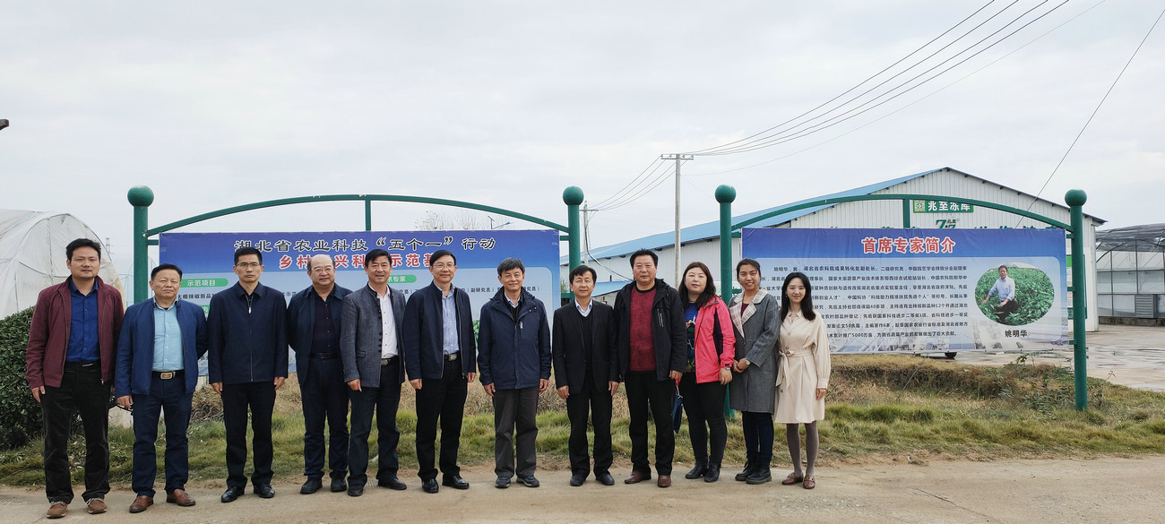 中國(guó)蔬菜協(xié)會(huì)會(huì)長(zhǎng)楊雄年來(lái)公司基地視察指導(dǎo)工作