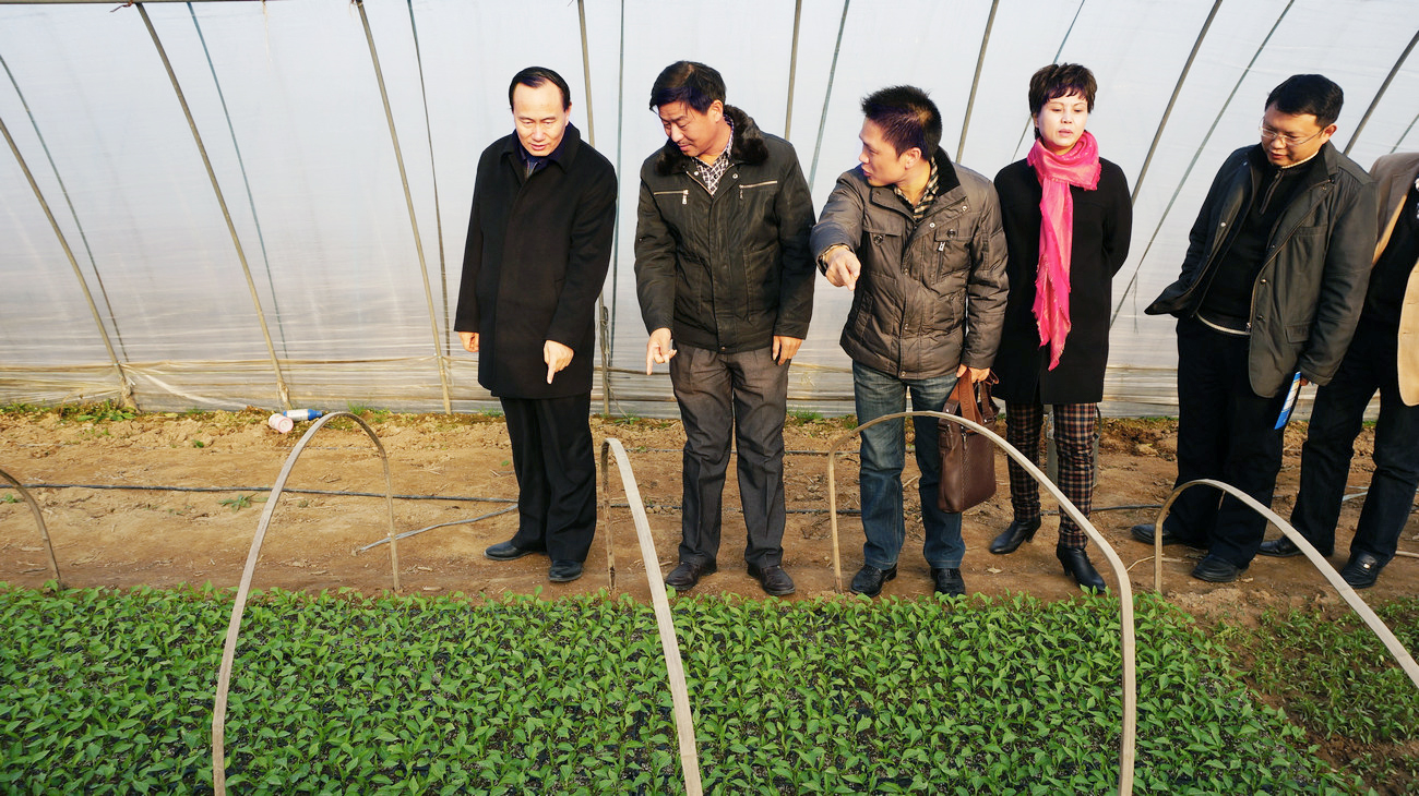 湖北省人大常委、省人大教育科學(xué)文化衛(wèi)生委員會(huì)副主任委員、湖北省科學(xué)技術(shù)廳一級(jí)巡視員劉望清來(lái)公司基地視察指導(dǎo)工作